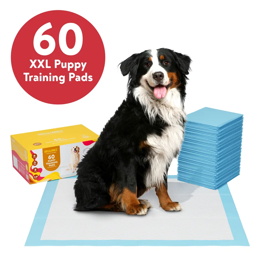 Brilliance — XXL Puppy Training Pads Hero detail image