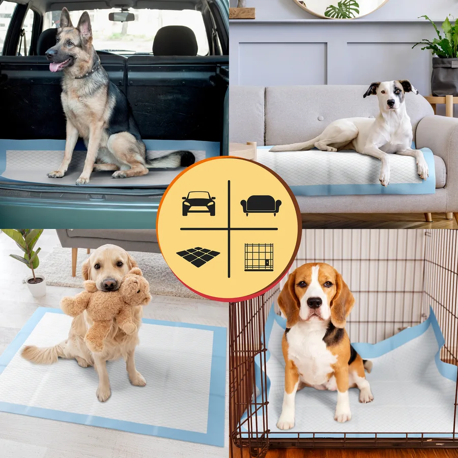 Brilliance — XXL Puppy Training Pads Uses detail image