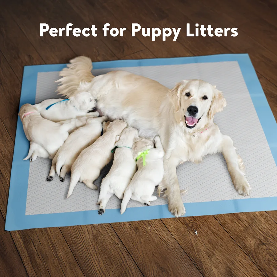 Brilliance — XXL Puppy Training Pads Litter detail image